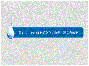 高中生物 第6章 第2、3、4節(jié) 細胞的分化、衰老、凋亡和癌變課件 新人教版必修1