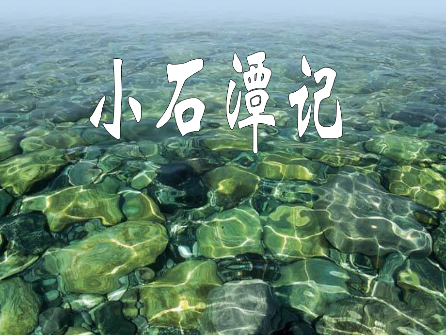 江西省吉安縣油田中學(xué)八年級語文上冊 小石潭記課件 北師大版_第1頁