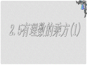 浙江省溫州市泰順縣新浦中學(xué)七年級(jí)數(shù)學(xué)上冊(cè) 2.5 有理數(shù)的乘方課件（1）（新版）浙教版