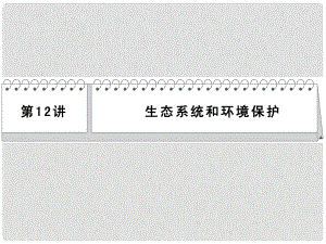 高考生物二輪 三級(jí)排查大提分 第12講 生態(tài)系統(tǒng)和環(huán)境保護(hù)課件