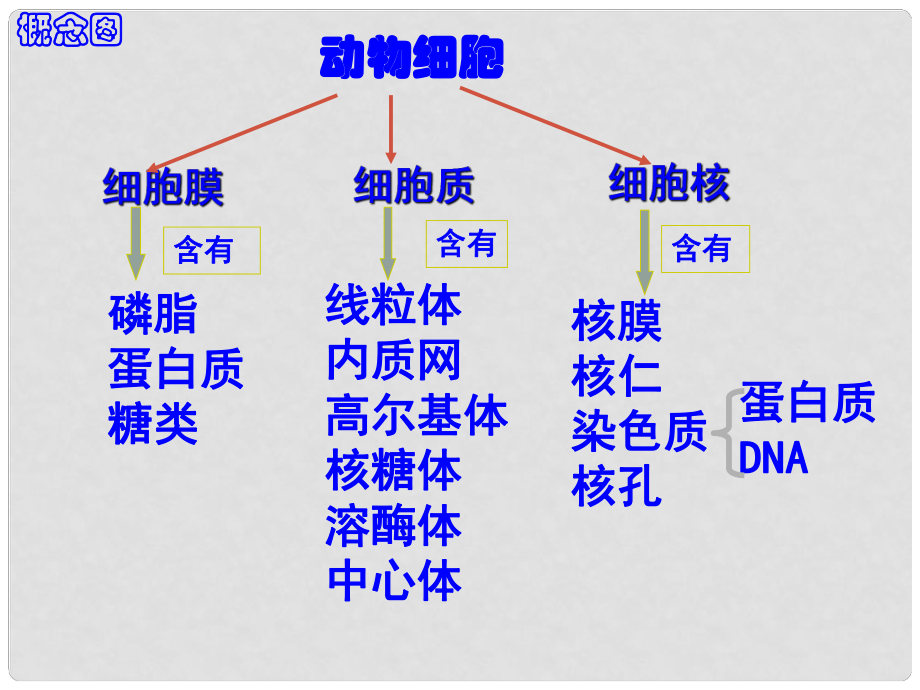 高中生物《第四章 第一節(jié) 物質(zhì)跨膜運(yùn)輸?shù)膶?shí)例》課件 新人教版必修1_第1頁(yè)