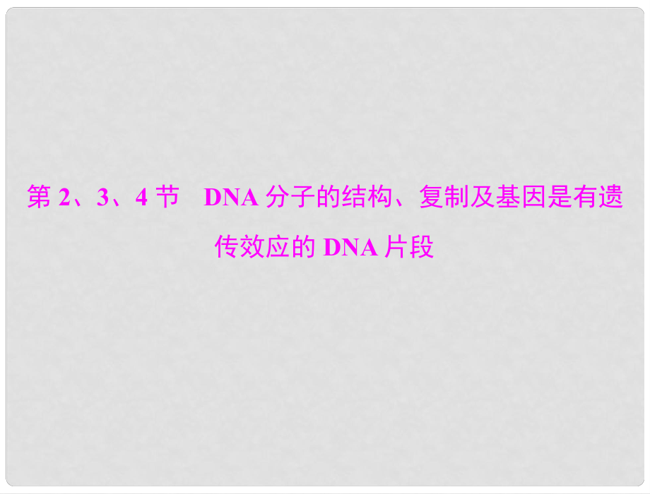 高考生物總復習 第3章 第2、3、4節(jié) dna分子的結(jié)構(gòu)、復制及基因是有遺傳效應的dna片段課件 新人教版必修2_第1頁