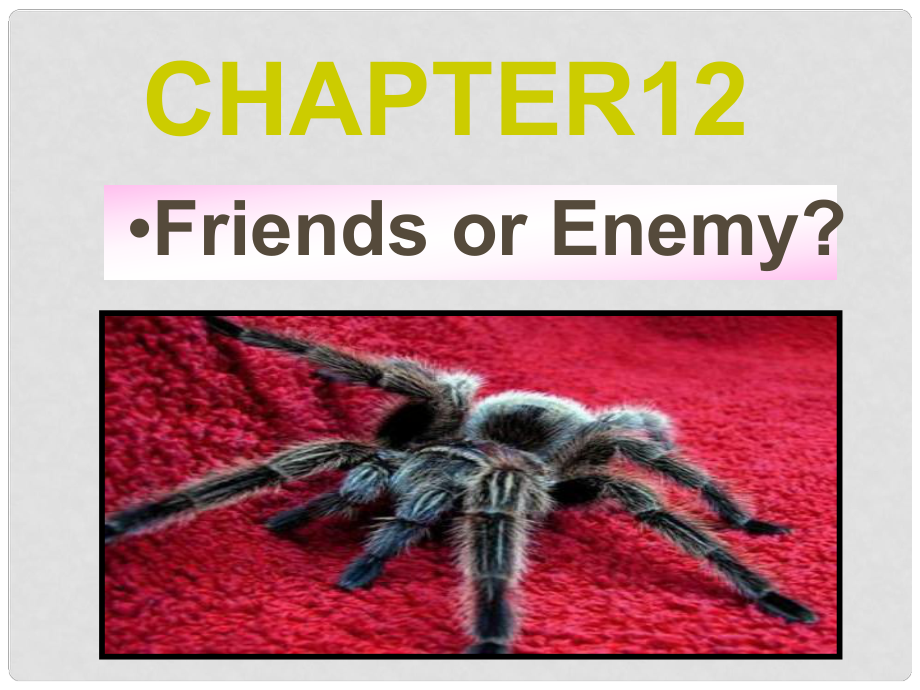 廣東省深圳市九年級(jí)英語全冊 Chapter 12 Friend or enemy教學(xué)課件 牛津深圳版_第1頁