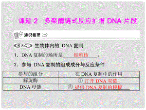 高中生物 專題五 課題2 多聚酶鏈?zhǔn)椒磻?yīng)擴(kuò)增dna片段課件 新人教版