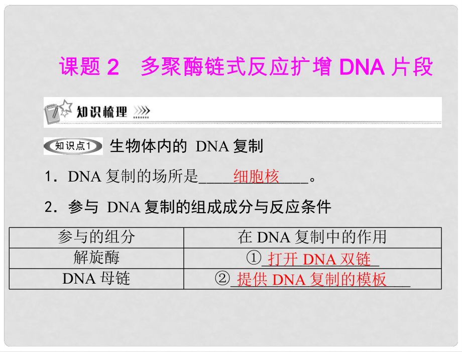 高中生物 專題五 課題2 多聚酶鏈?zhǔn)椒磻?yīng)擴(kuò)增dna片段課件 新人教版_第1頁