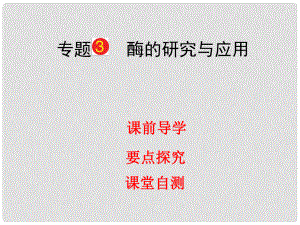 高考生物一輪復習 專題3 酶的研究與應用課件 新人教版選修1