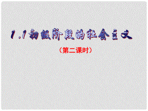 浙江省溫州市第十一中學九年級歷史與社會《初級階段的社會主義》課件 人教版