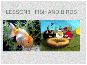 三年級英語下冊 Lesson 3 Fish and Birds課件 （新版）冀教版