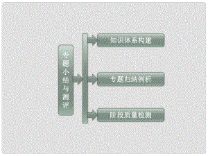 高中歷史 專題二 專題小結(jié)與測評課件 人民版選修2