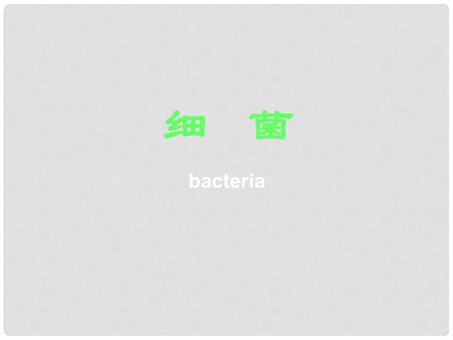 八年級生物上冊 第四章 第二節(jié) 細菌課件 新人教版_第1頁