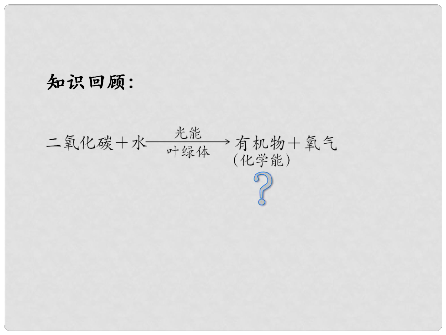 陜西省西安市慶安中學(xué)八年級生物《綠色植物對有機(jī)物的利用》課件_第1頁