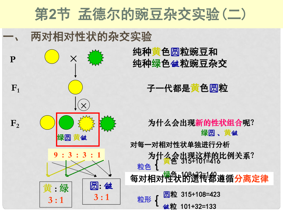 高中生物 第一章 孟德爾定律 自由組合定律課件 浙科版必修2_第1頁