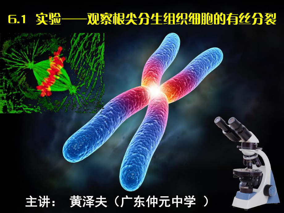 廣東省廣州市高中生物 實(shí)驗(yàn)觀察根尖分生組織細(xì)胞的有絲分裂課件 新人教版必修1_第1頁