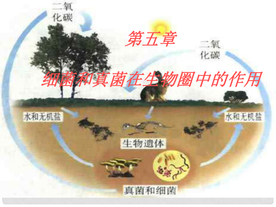 八年級生物上冊 第5單元 第5章 病毒 第二節(jié) 人類對細菌和真菌的利用課件 新人教版_第1頁