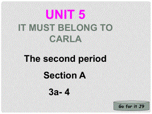 湖北省武漢為明實(shí)驗(yàn)學(xué)校九年級(jí)英語全冊(cè) Unit 5 It must belong to Carla Period 2 Section A 3a4課件 人教新目標(biāo)版