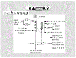 高考生物總復習 第5章 章末知識整合課件 新人教版必修1