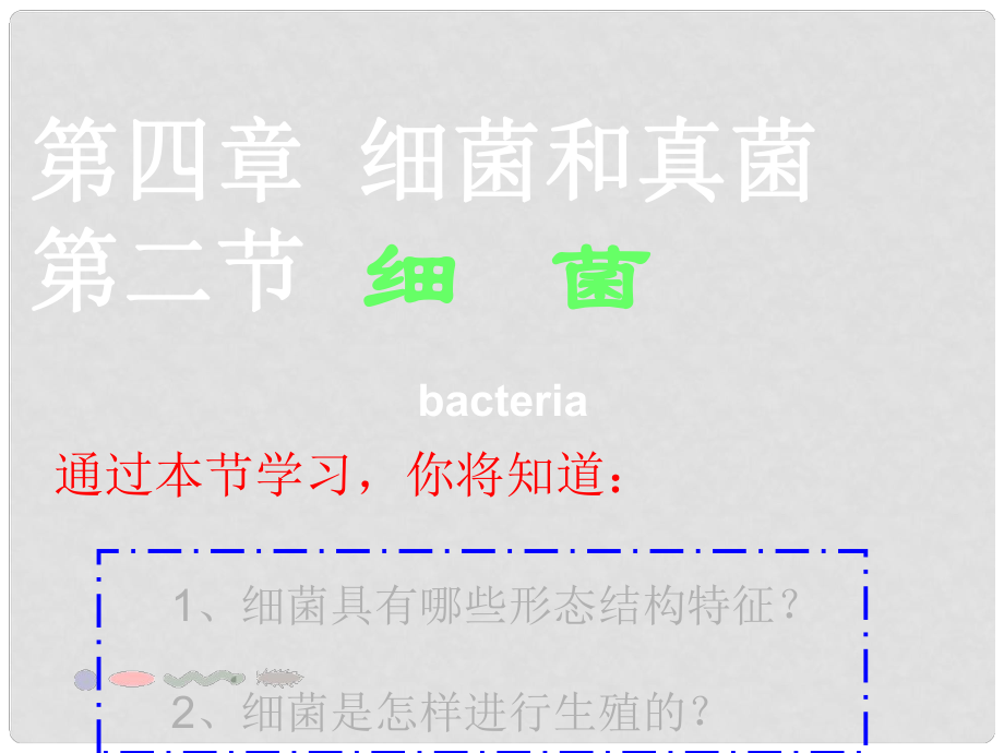 八年級生物上冊 第二章 細菌和真菌 第二節(jié) 細菌課件 新人教版_第1頁