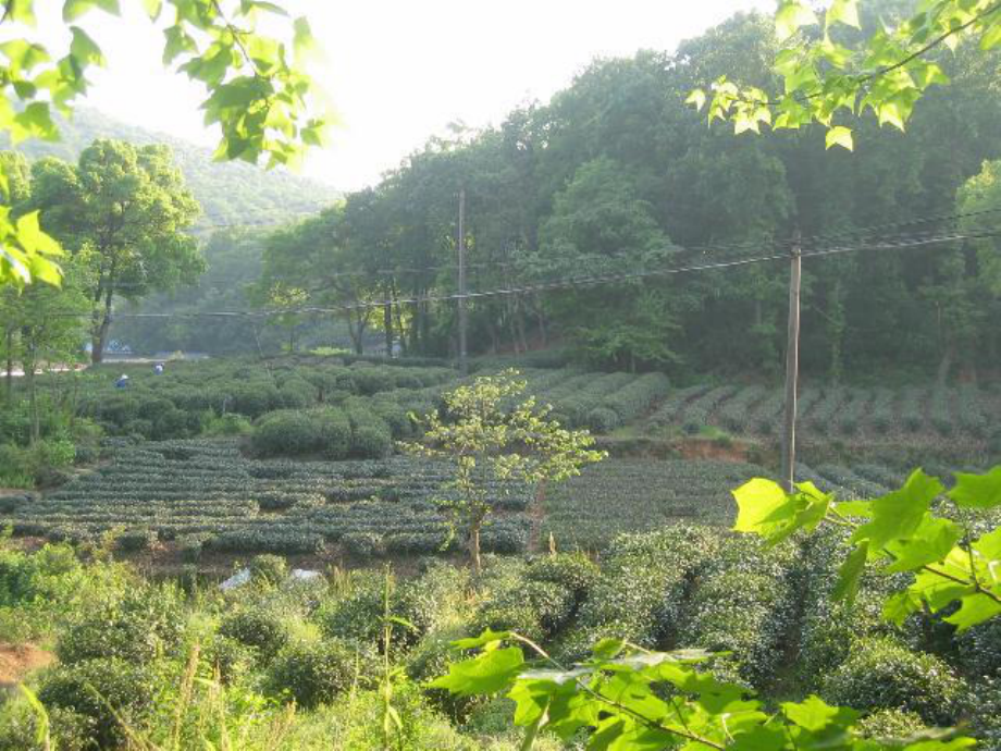 高中地理 農(nóng)業(yè)生產(chǎn)與地理環(huán)境課件 魯教版必修2_第1頁