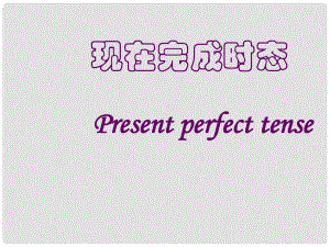 江蘇省連云港市田家炳中學(xué)八年級(jí)英語(yǔ)下冊(cè) 現(xiàn)在完成時(shí)課件1 牛津版