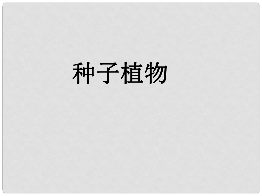 山東省青島市城陽區(qū)第七中學七年級生物上冊 種子植物課件 新人教版_第1頁