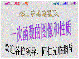 江西省會(huì)昌實(shí)驗(yàn)學(xué)校九年級(jí)數(shù)學(xué)總復(fù)習(xí) 函數(shù)的圖象和性質(zhì) 課件 人教新課標(biāo)版