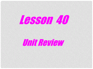 陜西省漢中市陜飛二中九年級英語下冊 Unit 5 Culture Shapes Us Lesson 40 Unit Review課件 冀教版