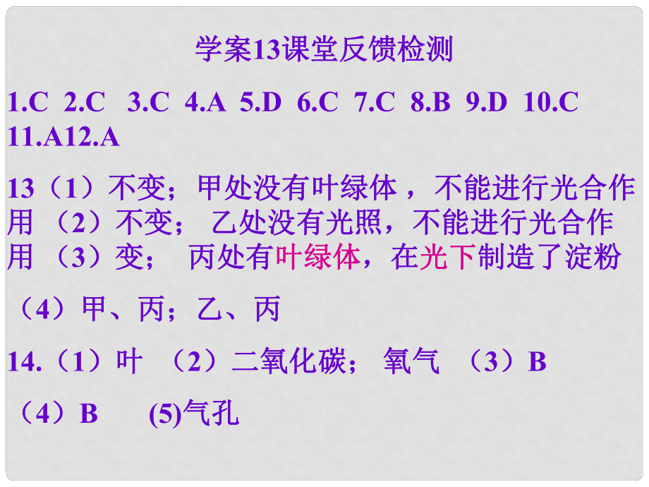 山東省高密市銀鷹文昌中學(xué)七年級(jí)生物上冊(cè) 綠色植物的光合作用課件1 新人教版_第1頁(yè)