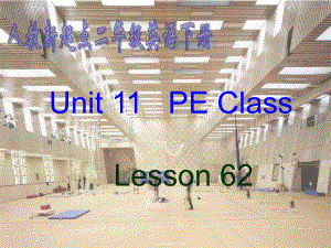 人教新起点英语二下Unit 11 PE Classppt课件