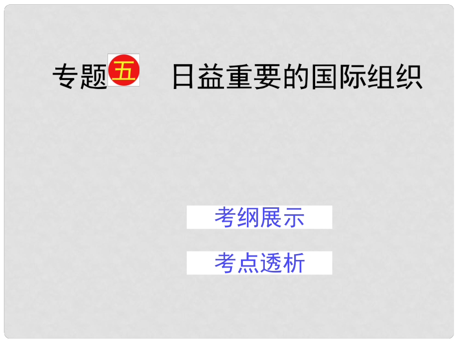 福建省長泰一中高三政治一輪復(fù)習(xí) 專題五 日益重要的國際組織課件 新人教版_第1頁