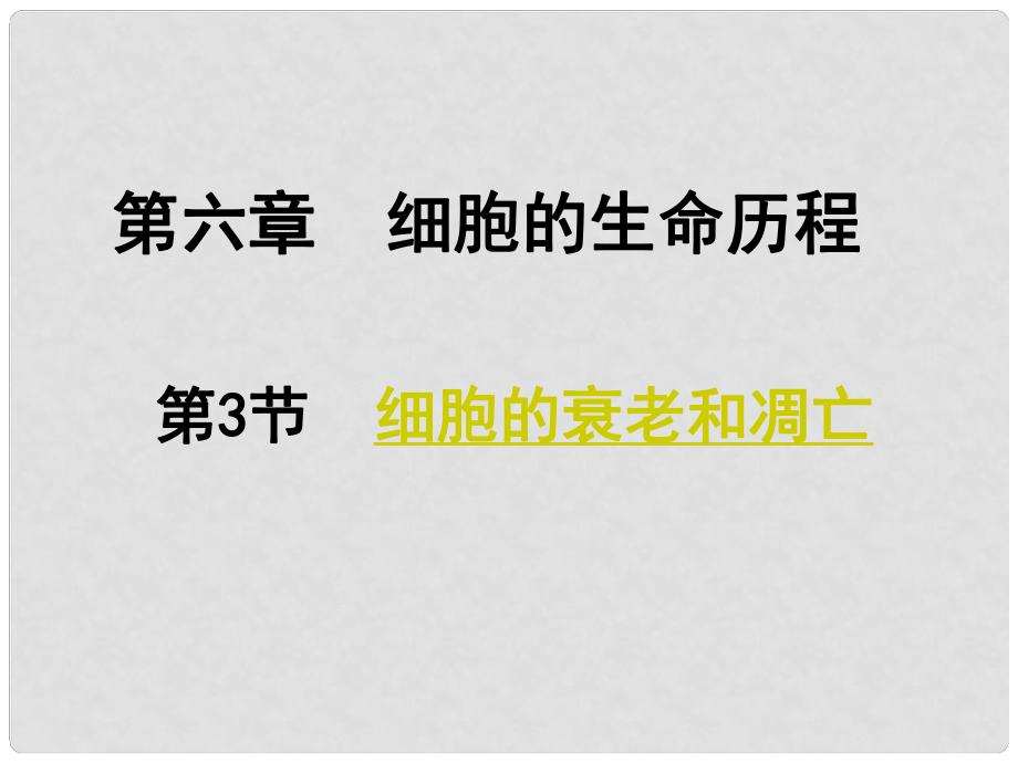 高中生物《第六章 第三節(jié) 細胞的衰老與凋亡》課件6 新人教版必修1_第1頁