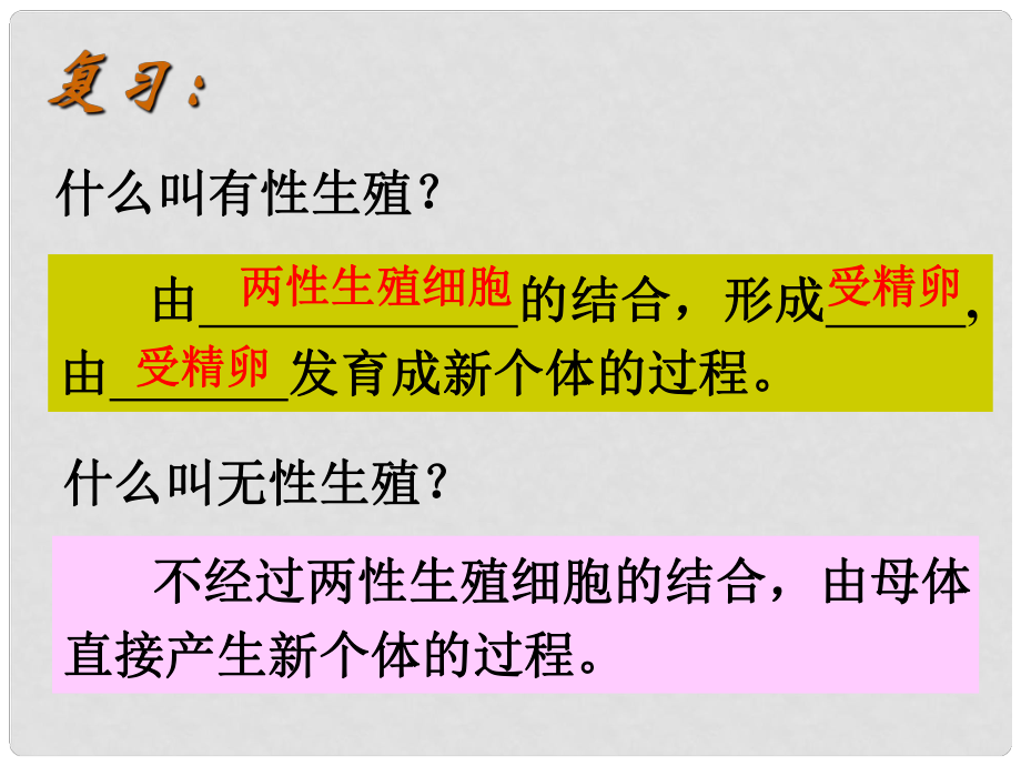 江蘇省句容市后白中學(xué)八年級生物上冊 植物的生殖課件 蘇教版_第1頁