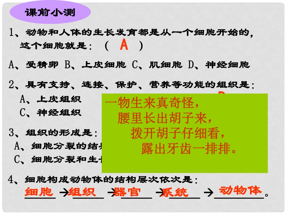 廣東省佛山市中大附中三水實驗中學(xué)七年級生物上冊 植物體的結(jié)構(gòu)層次課件 新人教版_第1頁