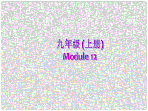 九年級英語上冊 Module 12 Summer in LA Unit 1 Your host family is meeting you at the airport課件 外研版