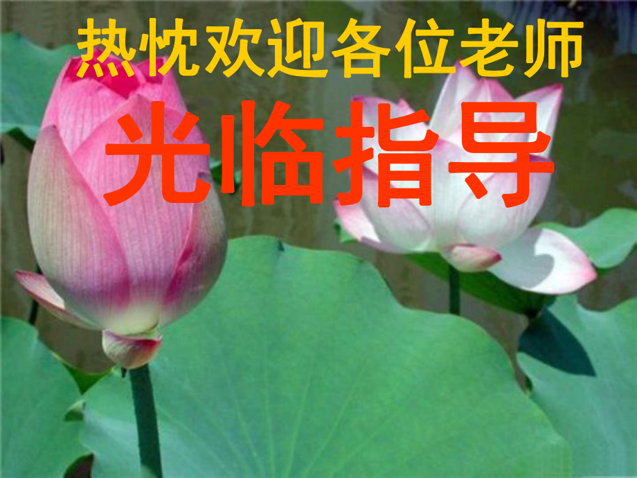 七年級數(shù)學(xué)上冊 《豐富的圖形世界》課件 北師大版_第1頁