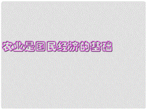 湖南省師范大學附屬中學高中政治 農業(yè)是國民經濟的基礎2課件 新人教版必修1