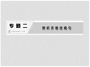 高三語文第二輪學習 專題二《辨析并修改病句》課件 新人教版