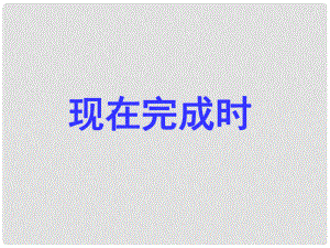 河南省南樂縣張果屯鄉(xiāng)中學(xué)中考英語語法專題復(fù)習(xí) 現(xiàn)在完成時課件