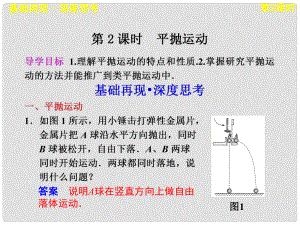 廣東省陸河外國語學(xué)校高三物理《第四章 第2課時》課件