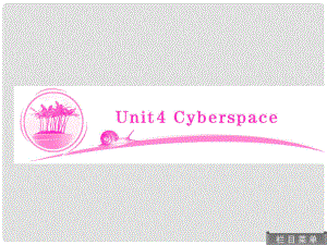 高考英語 教材總復(fù)習(xí) Unit4 Cyberspace課件 北師大版