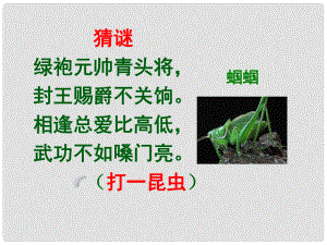 重庆市万州区塘坊初级中学七年级语文上册 绿色蝈蝈课件 新人教版