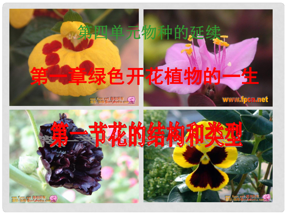 山東省德州市夏津?qū)嶒?yàn)中學(xué)八年級(jí)生物上冊(cè) 1.1 花的結(jié)構(gòu)和類(lèi)型課件1 濟(jì)南版_第1頁(yè)