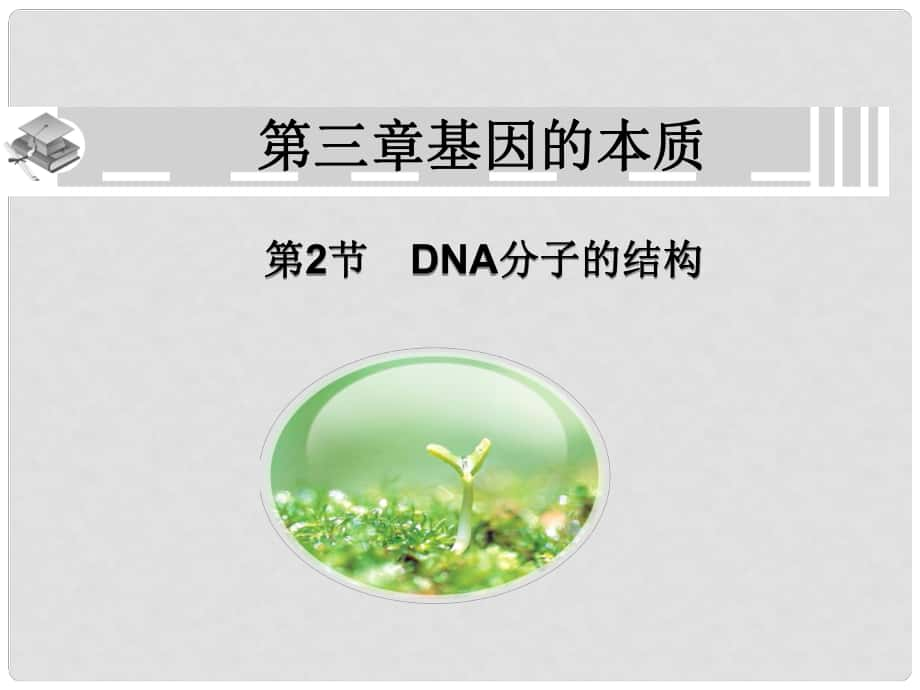 高中生物《第三章 第二節(jié) DNA分子的結(jié)構(gòu)》課件4 新人教版必修2_第1頁