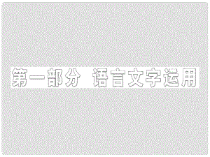 高三語文第二輪學(xué)習(xí) 專題一 第一講《正確使用實(shí)詞和虛詞》課件 新人教版