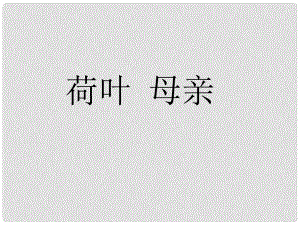 安徽省亳州市風(fēng)華中學(xué)七年級語文上冊《第24課 荷葉母親》課件2（新版）新人教版