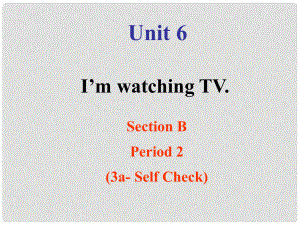 山東省濱州市鄒平實驗中學(xué)七年級英語下冊 Unit 6 I’m watching TV Section B（3aSelf Check）課件