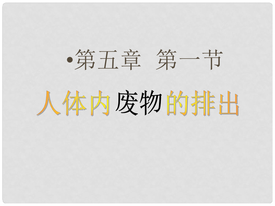 七年級生物下冊 尿的形成和排出課件 濟南版_第1頁