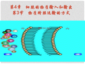 高中生物《第四章 第三節(jié) 物質(zhì)跨膜運(yùn)輸?shù)姆绞健氛n件 新人教版必修1