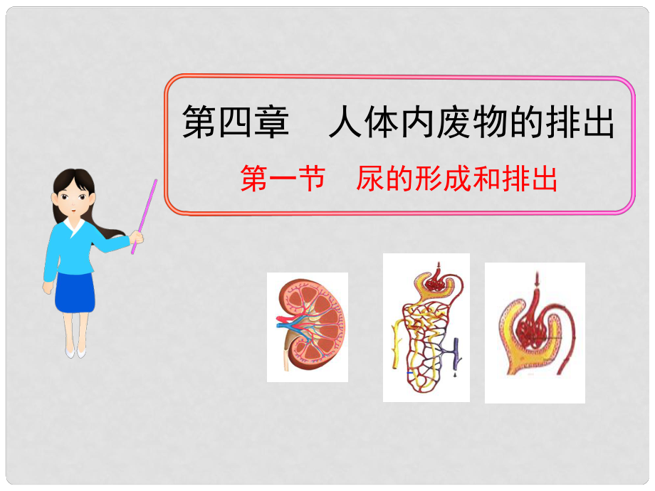 七年級生物下冊 第四章 第一節(jié) 尿的形成和排出課件 濟(jì)南版_第1頁