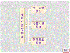 高中歷史 專題七 專題小結(jié)與測評課件 人民版必修2