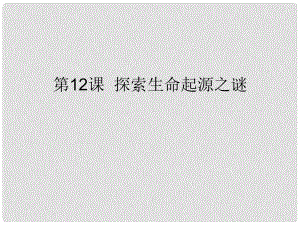 高中歷史 第四單元第12課 探索生命起源之謎課件 新人教版必修3